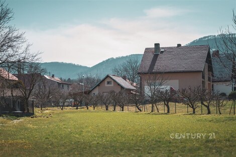 foto04_11212697_2zdic.jpg
