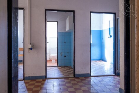 foto04_11320111_paddo.jpg