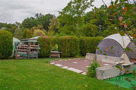 foto04_11372599_15gpks.jpg