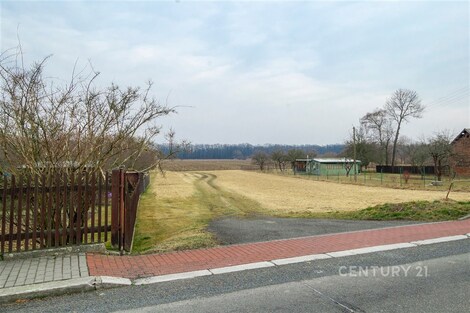 foto04_11521375_axoj4.jpg