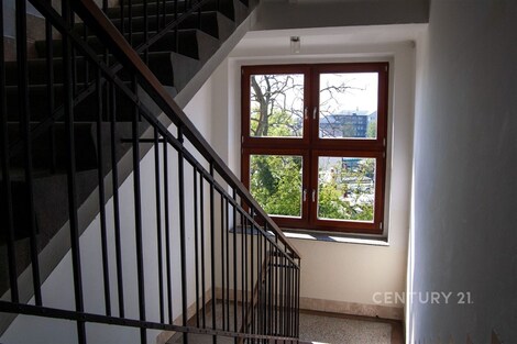 foto04_11557000_4bbfo.jpg