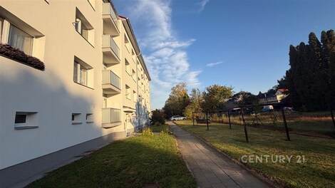 foto04_11562773_12e6y8.jpg
