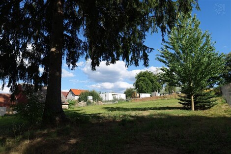 foto04_11357027_3erzg.jpg