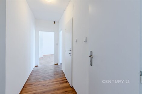 foto04_11513984_gga80.jpg
