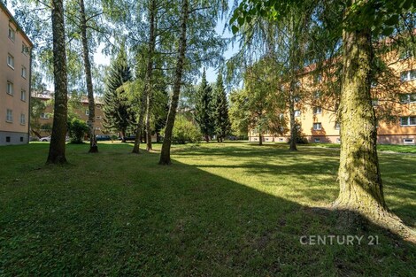 foto04_11518656_1c0zlg.jpg