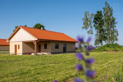 foto04_11338025_rkbos.jpg