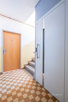 foto04_11505792_n1ki8.jpg