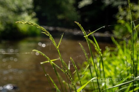 foto04_11515114_iekmg.jpg