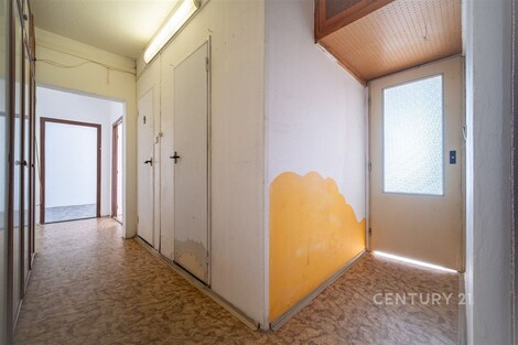 foto04_11527214_xz3bs.jpg