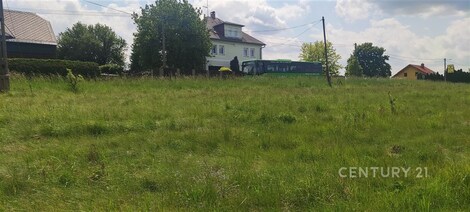 foto04_11325063_pfzgo.jpg