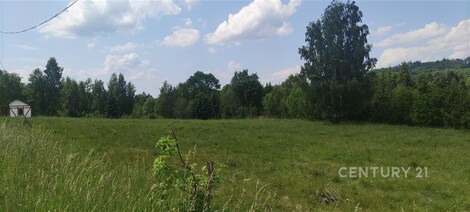 foto04_11325063_wwaew.jpg