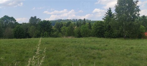 foto04_11335252_vybq8.jpg