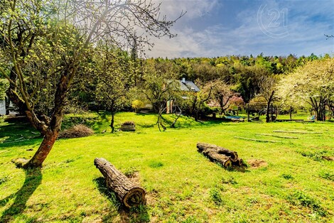 foto04_11354137_1etybg.jpg