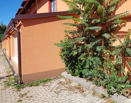 foto04_11357013_11dor4.jpg