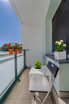 foto04_11369196_qogxg.jpg