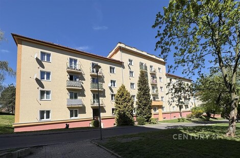 foto04_11490055_19kzjg.jpg
