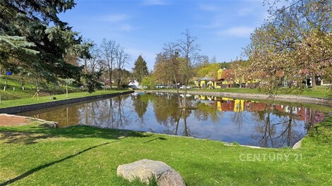 foto04_11490090_rcxsk.jpg