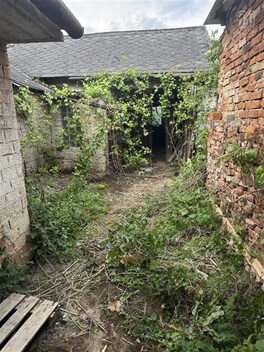 foto04_11308774_riheo.jpg