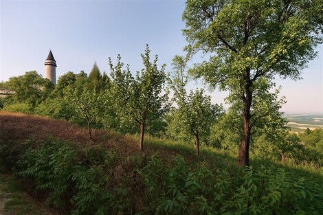 foto04_11383345_b86jg.jpg