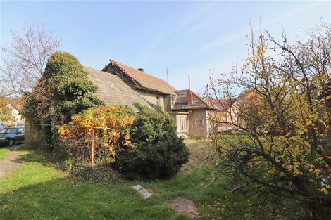foto04_11253565_1kpre8.jpg