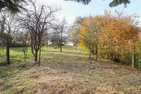 foto04_11253565_8qaco.jpg