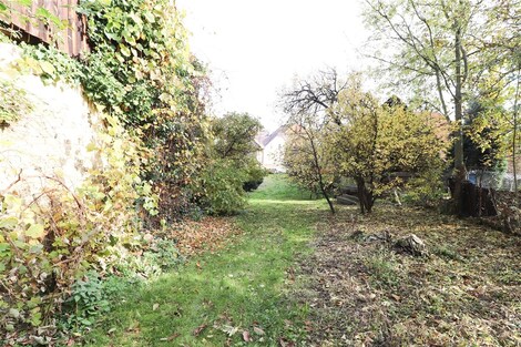 foto04_11253565_y03d0.jpg