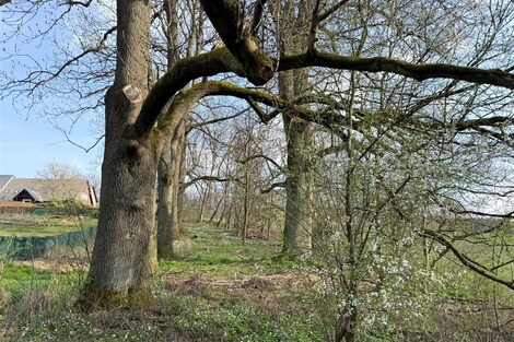 foto04_11309448_w0qos.jpg