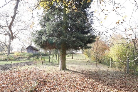 foto04_11377940_115uvw.jpg
