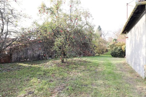 foto04_11377940_xulg0.jpg