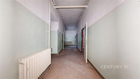 foto04_11439693_1gzkx0.jpg