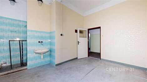 foto04_11439693_qcvss.jpg