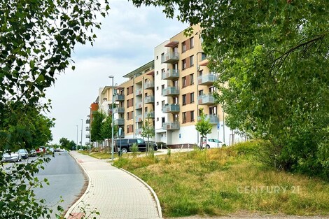 foto04_11458823_yqbf4.jpg