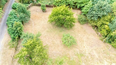 foto04_11458891_neto.jpg