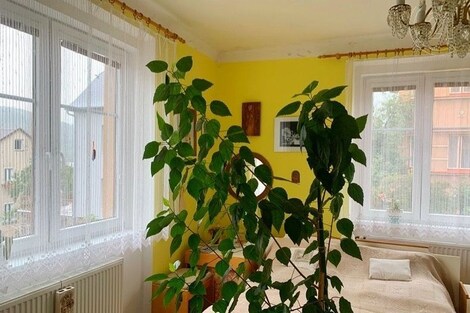 foto04_11144364_biqsc.jpg
