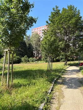 foto04_11557951_aj600.jpg