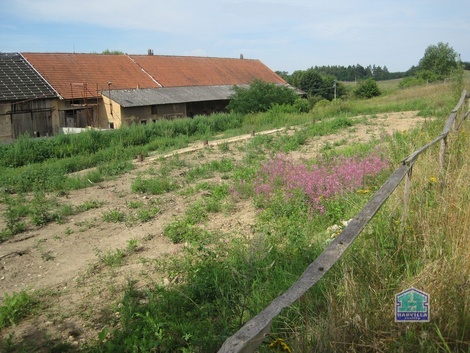 foto05_11262469_8t9ns.jpg
