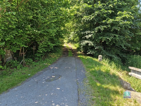foto05_11342465_ra12.jpg