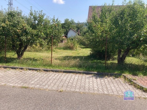 foto05_11365714_2iqno.jpg