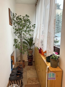foto05_11482226_3ge2o.jpg