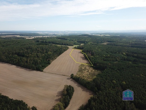 foto05_11556338_7cpga.jpg