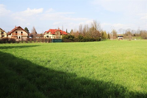 foto04_11060484_1jgvcg.jpg