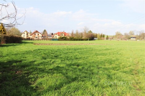 foto04_11060484_ntwkg.jpg