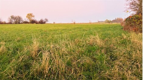 foto04_11168134_izxg8.jpg