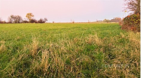 foto04_11168134_qmv7o.jpg