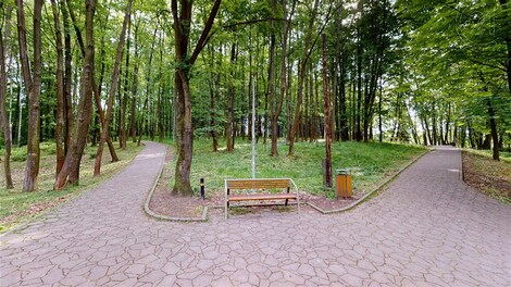 foto04_11323225_1msuy0.jpg