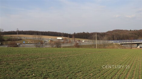 foto04_11465501_e2tr8.jpg
