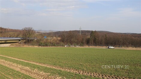 foto04_11465503_1bslfo.jpg