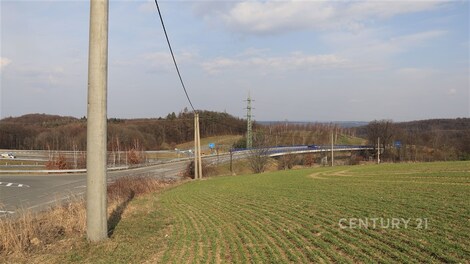 foto04_11465503_f4q14.jpg