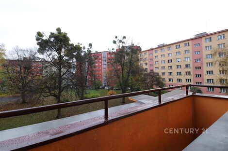 foto04_11502280_pz2f8.jpg