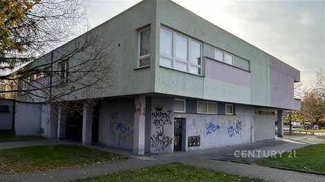 foto04_11545283_1i1fhs.jpg